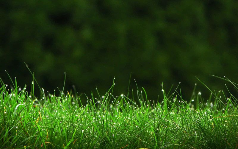 Πιτζάμα Plus Size Κάπρι "PijaMood" καρό με σχέδιο